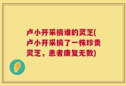 卢小开采摘谁的灵芝(卢小开采摘了一株珍贵灵芝，患者康复无数)
