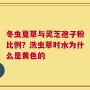 冬虫夏草与灵芝孢子粉比例？洗虫草时水为什么是黄色的