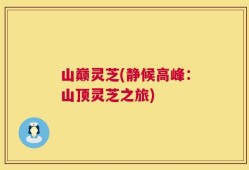 山巅灵芝(静候高峰：山顶灵芝之旅)