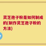 灵芝孢子粉是如何制成的(制作灵芝孢子粉的方法)