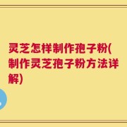 灵芝怎样制作孢子粉(制作灵芝孢子粉方法详解)