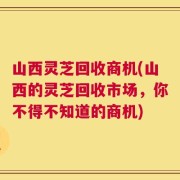 山西灵芝回收商机(山西的灵芝回收市场，你不得不知道的商机)
