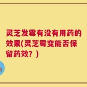 灵芝发霉有没有用药的效果(灵芝霉变能否保留药效？)