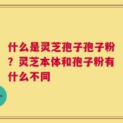 什么是灵芝孢子孢子粉？灵芝本体和孢子粉有什么不同
