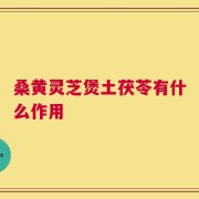 桑黄灵芝煲土茯苓有什么作用