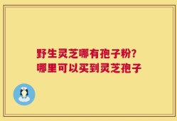 野生灵芝哪有孢子粉？哪里可以买到灵芝孢子