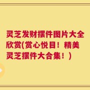 灵芝发财摆件图片大全欣赏(赏心悦目！精美灵芝摆件大合集！)