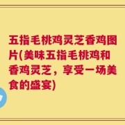 五指毛桃鸡灵芝香鸡图片(美味五指毛桃鸡和香鸡灵芝，享受一场美食的盛宴)