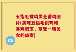 五指毛桃鸡灵芝香鸡图片(美味五指毛桃鸡和香鸡灵芝，享受一场美食的盛宴)