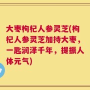 大枣枸杞人参灵芝(枸杞人参灵芝加持大枣，一匙润泽千年，提振人体元气)