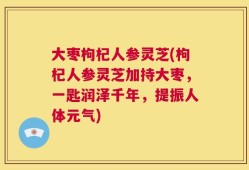 大枣枸杞人参灵芝(枸杞人参灵芝加持大枣，一匙润泽千年，提振人体元气)
