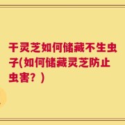 干灵芝如何储藏不生虫子(如何储藏灵芝防止虫害？)