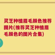 灵芝种植眉毛颜色推荐图片(推荐灵芝种植眉毛颜色的图片合集)