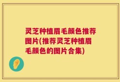 灵芝种植眉毛颜色推荐图片(推荐灵芝种植眉毛颜色的图片合集)