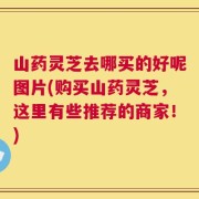 山药灵芝去哪买的好呢图片(购买山药灵芝，这里有些推荐的商家！)