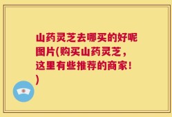 山药灵芝去哪买的好呢图片(购买山药灵芝，这里有些推荐的商家！)