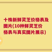十株新鲜灵芝价格表及图片(10种鲜灵芝价格表与真实图片展示)