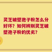 灵芝破壁孢子粉怎么分好坏？如何辨别灵芝破壁孢子粉的优劣？