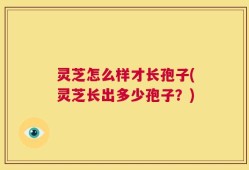 灵芝怎么样才长孢子(灵芝长出多少孢子？)