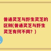 普通灵芝与野生灵芝的区别(普通灵芝与野生灵芝有何不同？)
