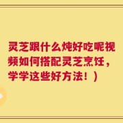 灵芝跟什么炖好吃呢视频如何搭配灵芝烹饪，学学这些好方法！)
