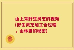 山上采野生灵芝的视频(野生灵芝加工全过程，山林里的秘密)