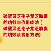 破壁灵芝孢子紫芝胶囊的功效与作用吃法 (破壁灵芝孢子紫芝胶囊的功效及食用方法)