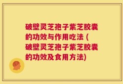 破壁灵芝孢子紫芝胶囊的功效与作用吃法 (破壁灵芝孢子紫芝胶囊的功效及食用方法)