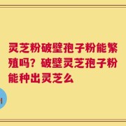 灵芝粉破壁孢子粉能繁殖吗？破壁灵芝孢子粉能种出灵芝么