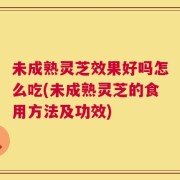 未成熟灵芝效果好吗怎么吃(未成熟灵芝的食用方法及功效)