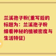兰溪孢子粉(重写后的标题为：兰溪孢子粉 细看神秘的植被密度与生活特征)