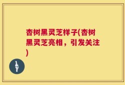 杏树黑灵芝样子(杏树黑灵芝亮相，引发关注)
