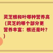 灵芝根和叶哪种营养高 (灵芝的哪个部分更营养丰富：根还是叶？)