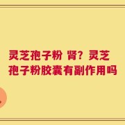 灵芝孢子粉 肾？灵芝孢子粉胶囊有副作用吗