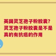 英国灵芝孢子粉胶囊？灵芝孢子粉胶囊是不是真的有抗癌的作用