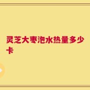 灵芝大枣泡水热量多少卡