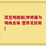 灵芝鸡搞笑(神奇菌与鸡肉合体 营养又好笑)