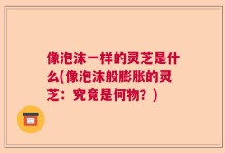 像泡沫一样的灵芝是什么(像泡沫般膨胀的灵芝：究竟是何物？)