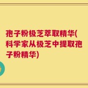孢子粉极芝萃取精华(科学家从极芝中提取孢子粉精华)