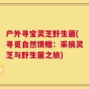 户外寻宝灵芝野生菌(寻觅自然馈赠：采摘灵芝与野生菌之旅)