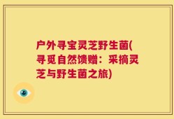 户外寻宝灵芝野生菌(寻觅自然馈赠：采摘灵芝与野生菌之旅)