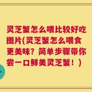 灵芝蟹怎么喂比较好吃图片(灵芝蟹怎么喂食更美味？简单步骤带你尝一口鲜美灵芝蟹！)