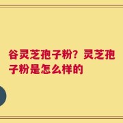 谷灵芝孢子粉？灵芝孢子粉是怎么样的