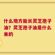 什么地方能长灵芝孢子油？灵芝孢子油是什么来的