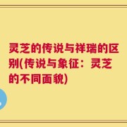 灵芝的传说与祥瑞的区别(传说与象征：灵芝的不同面貌)