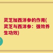 灵芝加西洋参的作用(灵芝与西洋参：强效养生功效)
