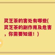 灵芝茶的害处有哪些(灵芝茶的副作用及危害，你需要知道！)