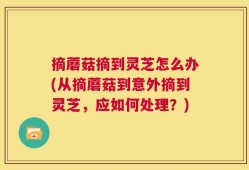 摘蘑菇摘到灵芝怎么办(从摘蘑菇到意外摘到灵芝，应如何处理？)