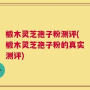 椴木灵芝孢子粉测评(椴木灵芝孢子粉的真实测评)