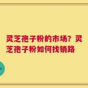 灵芝孢子粉的市场？灵芝孢子粉如何找销路